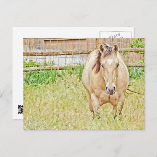 Lazy Morning Briefkaart (Voorkant / Achterkant)