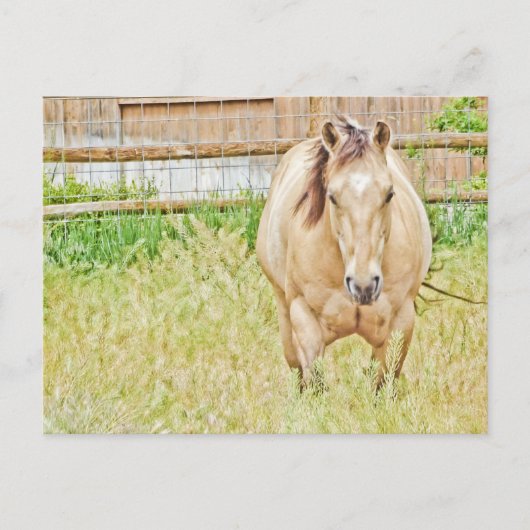 Lazy Morning Briefkaart (Voorkant)