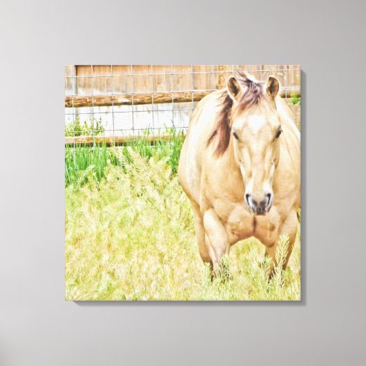 Lazy Morning Canvas Afdruk (Voorkant)