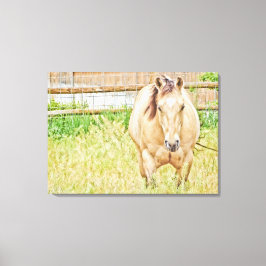 Lazy Morning Canvas Afdruk