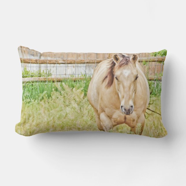 Lazy Morning Kussen (Voorkant)