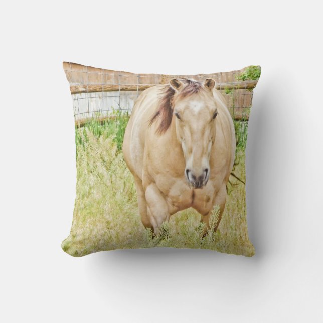 Lazy Morning Kussen (Voorkant)