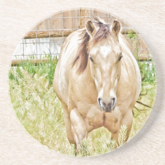 Lazy Morning Zandsteen Onderzetter (Voorkant)