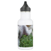 Lazy Mutt Waterfles (Rechts)