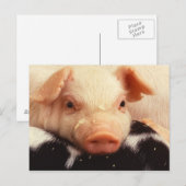 Lazy Piglet Briefkaart (Voorkant / Achterkant)