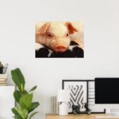Lazy Piglet Poster (Thuiskantoor)