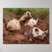 Lazy Pigs in Mud Poster (Voorkant)
