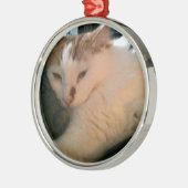 Lazy, Relaxed Cat Metalen Ornament (Links)