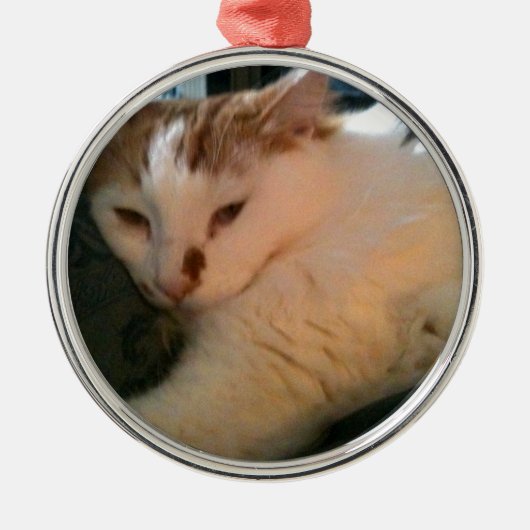 Lazy, Relaxed Cat Metalen Ornament (Voorkant)