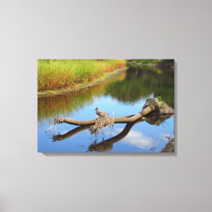 Lazy River Canvas Afdruk