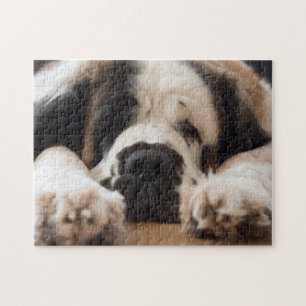 Lazy Saint Bernard dog Legpuzzel