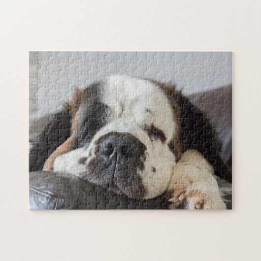 Lazy Saint Bernard dog Legpuzzel (Horizontaal)