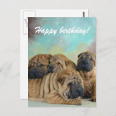 Lazy shar pei Happy verjaardagskaart! Briefkaart (Voorkant / Achterkant)