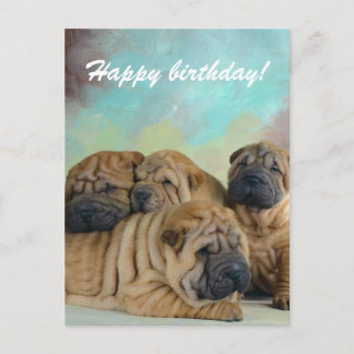 Lazy shar pei Happy verjaardagskaart! Briefkaart