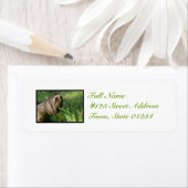 Lazy Sloth Mailing Labels (Insitu)