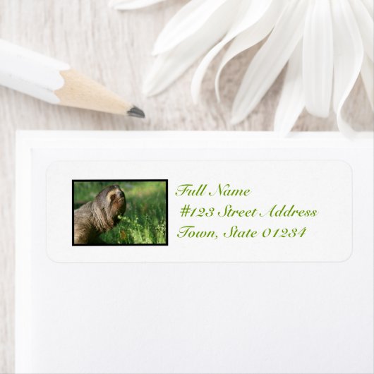Lazy Sloth Mailing Labels (Insitu)