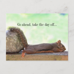 Lazy Squirrel Briefkaart