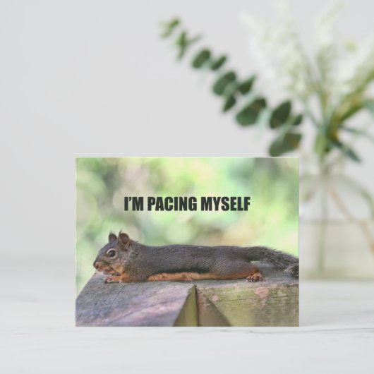 Lazy Squirrel Foto Briefkaart (Staand voorkant)