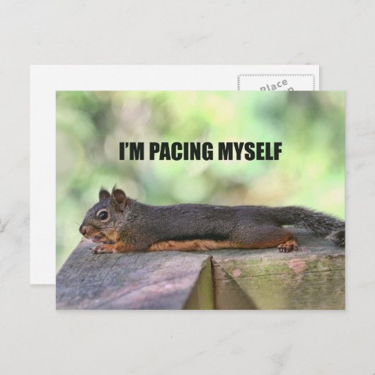 Lazy Squirrel Foto Briefkaart (Voorkant / Achterkant)