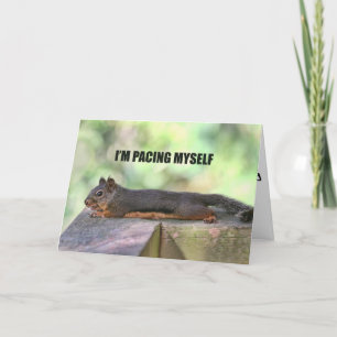 Lazy Squirrel Foto Kaart