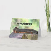 Lazy Squirrel Foto Kaart (Voorkant)