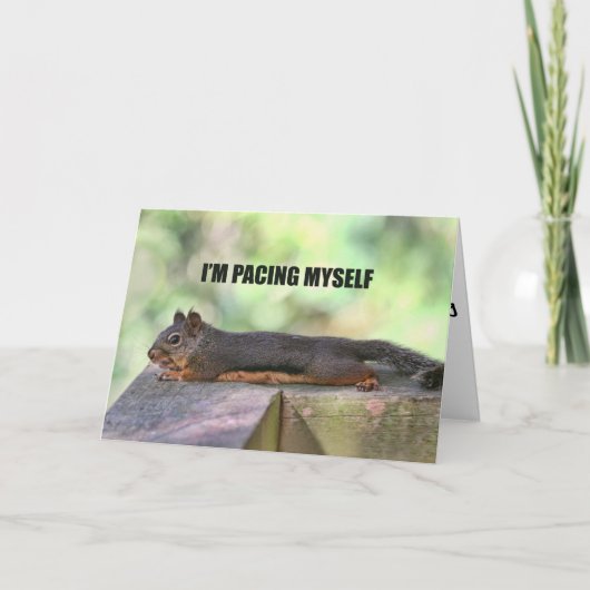 Lazy Squirrel Foto Kaart (Voorkant)