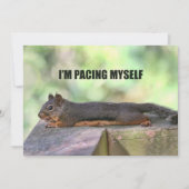 Lazy Squirrel Foto Kaart (Voorkant)