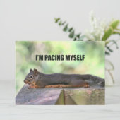 Lazy Squirrel Foto Kaart (Staand voorkant)