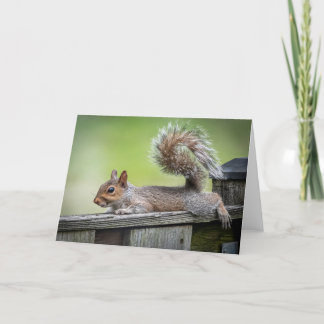 Lazy Squirrel Note Card Bedankkaart