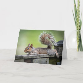 Lazy Squirrel Note Card Bedankkaart
