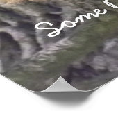 Lazy Squirrel Resting on Tree Branch Photography Poster (Hoek)