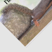 Lazy Squirrel Tissuepapier (Detail)