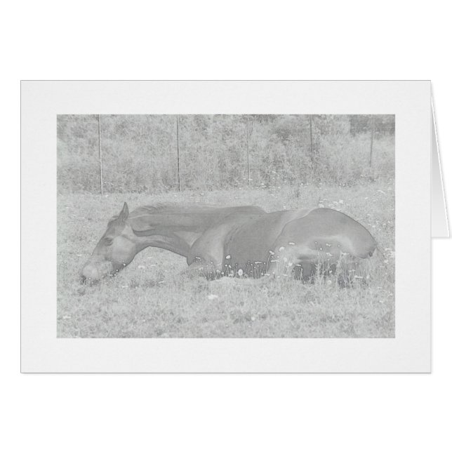 Lazy Summer Days (Voorkant Horizontaal)