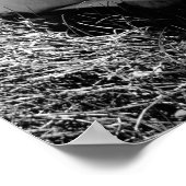 Lazy Summer Days Poster (Hoek)