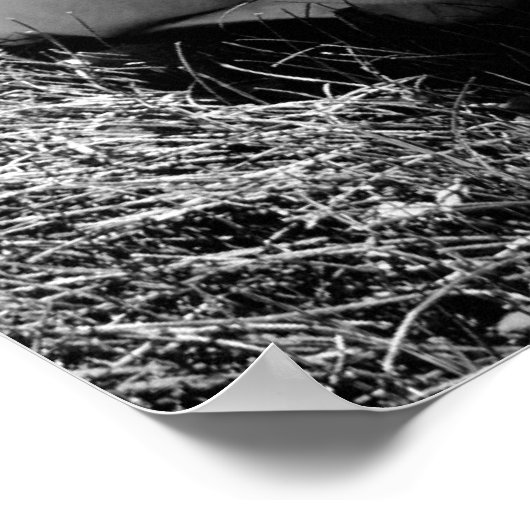 Lazy Summer Days Poster (Hoek)