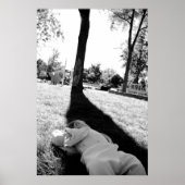 Lazy Summer Days Poster (Voorkant)