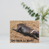 Lazy Tassie Devil Briefkaart (Staand voorkant)