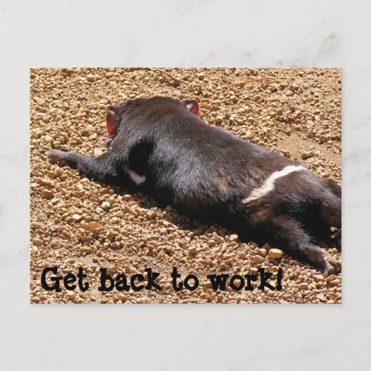 Lazy Tassie Devil Briefkaart (Voorkant)