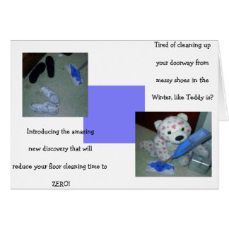 Lazy Teddy Bear Cleaning