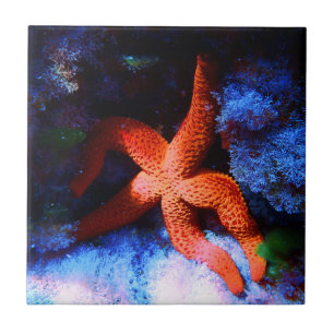 Lazy Tropical Undersea Starfish Tegeltje