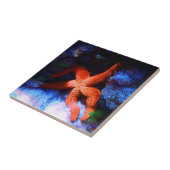 Lazy Tropical Undersea Starfish Tegeltje (Zijkant)