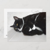 Lazy tuxedo cat briefkaart (Voorkant / Achterkant)