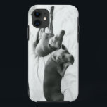 Lazy Weimaraners Case-Mate iPhone Case<br><div class="desc">Als je ooit van een Weim hield,  heb je geen uitleg nodig... </div>