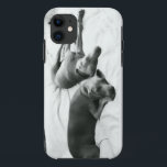 Lazy Weimaraners Case-Mate iPhone Case<br><div class="desc">Als je ooit van een Weim hield,  heb je geen uitleg nodig... </div>