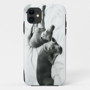 Lazy Weimaraners Case-Mate iPhone Case
