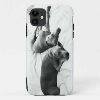 Lazy Weimaraners Case-Mate iPhone Case