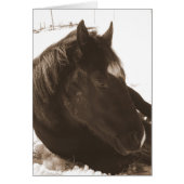 Lazy Winter Day (Voorkant)