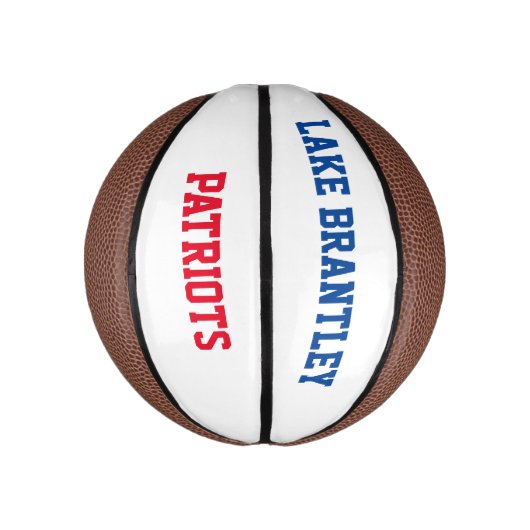 LBHS MIni Basketbal (Verticaal)