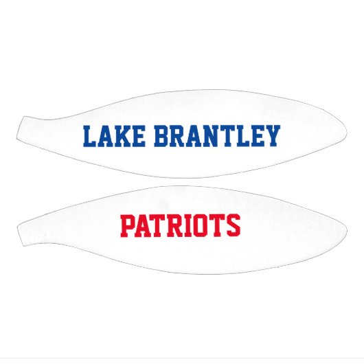 LBHS MIni Basketbal (Panelen)