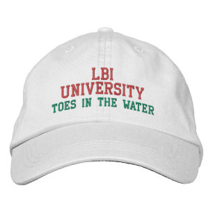 LBI UNIVERSITEIT GAAT IN HET WATER GEBORDUURDE PET